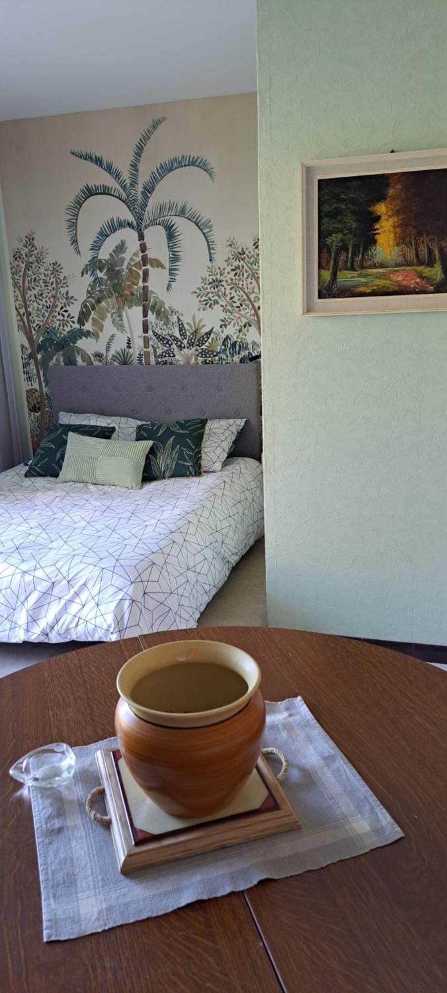 Studio Phannie Renove 50M Cures Amelie-les-Bains-Palalda Luaran gambar