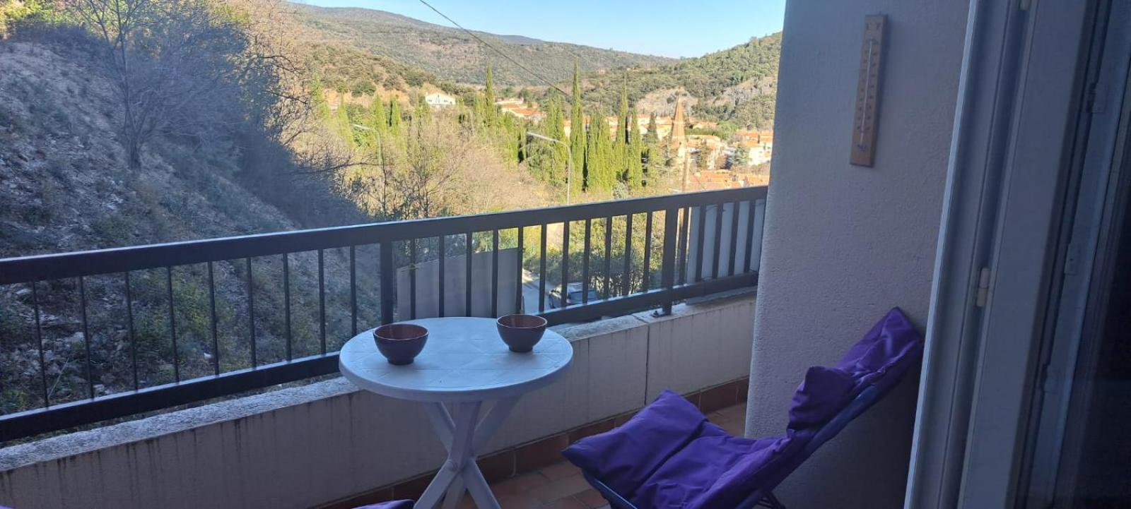 Studio Phannie Renove 50M Cures Amelie-les-Bains-Palalda Luaran gambar